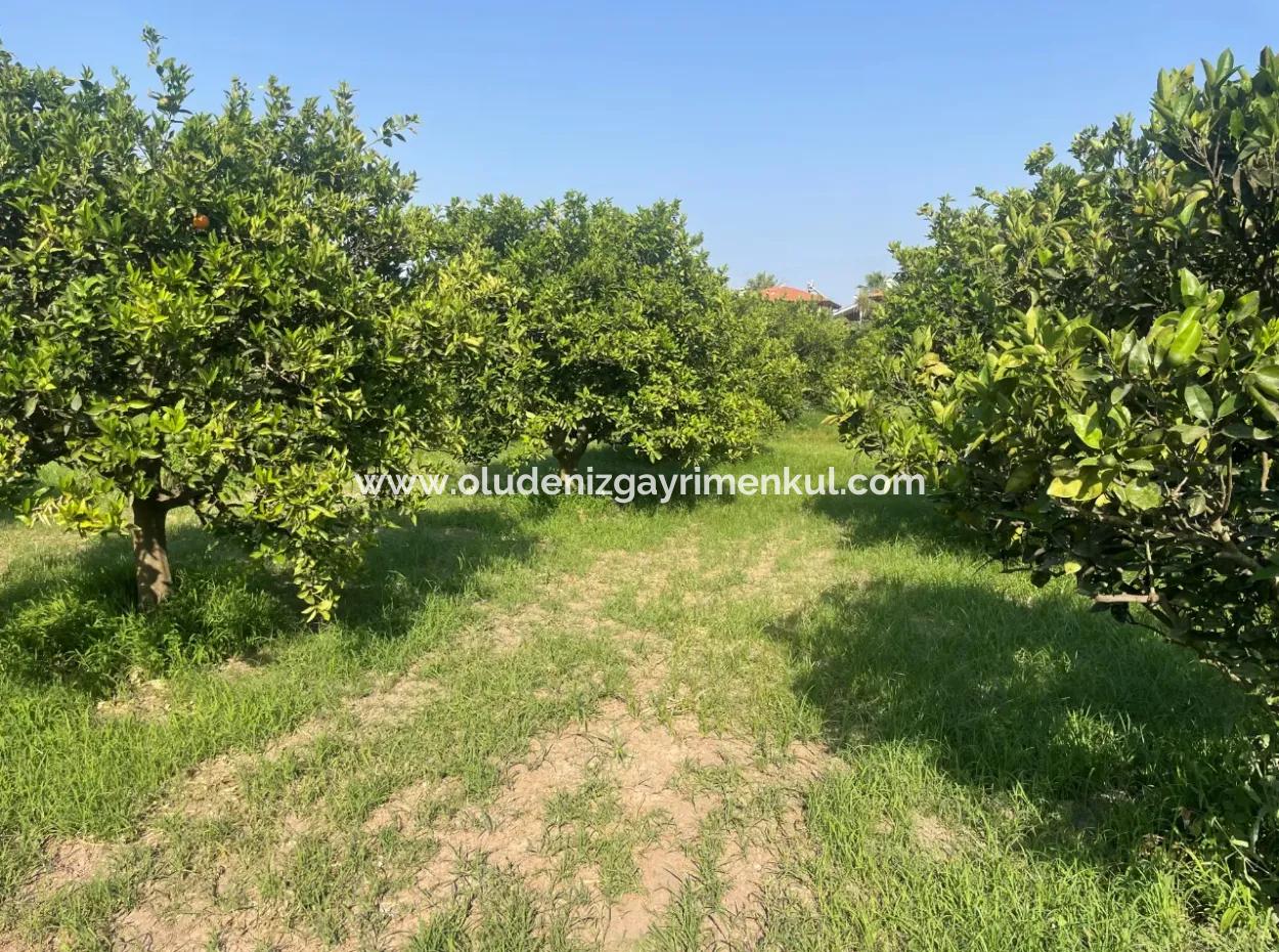 Grundstück Zum Verkauf In Gulpinar, Dalyan 722M2