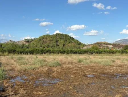 3900M2 Grundstück Zum Verkauf In Ortaca Yeşilyurt