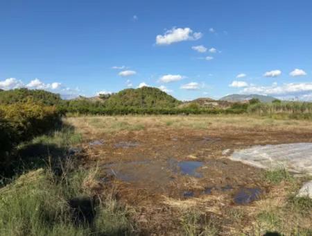 3900M2 Grundstück Zum Verkauf In Ortaca Yeşilyurt