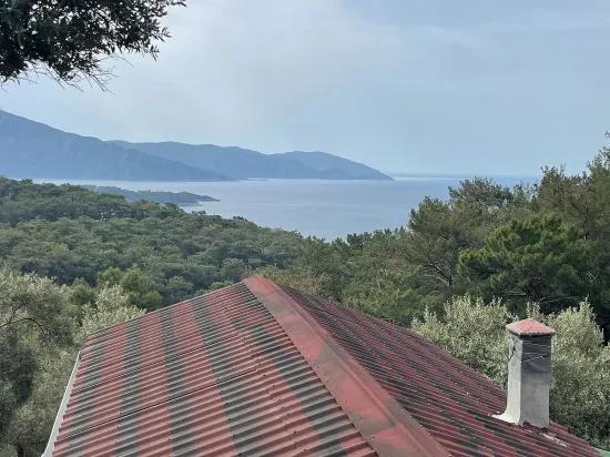 Köyceğiz Ekincik Mit Meerblick 7.000m2 2b Zu Verkaufen Olivenhain