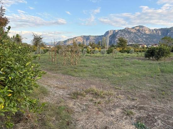 7.450 M² Großes Grundstück In Dalyan Mit 5%iger Zonierung Zu Verkaufen.