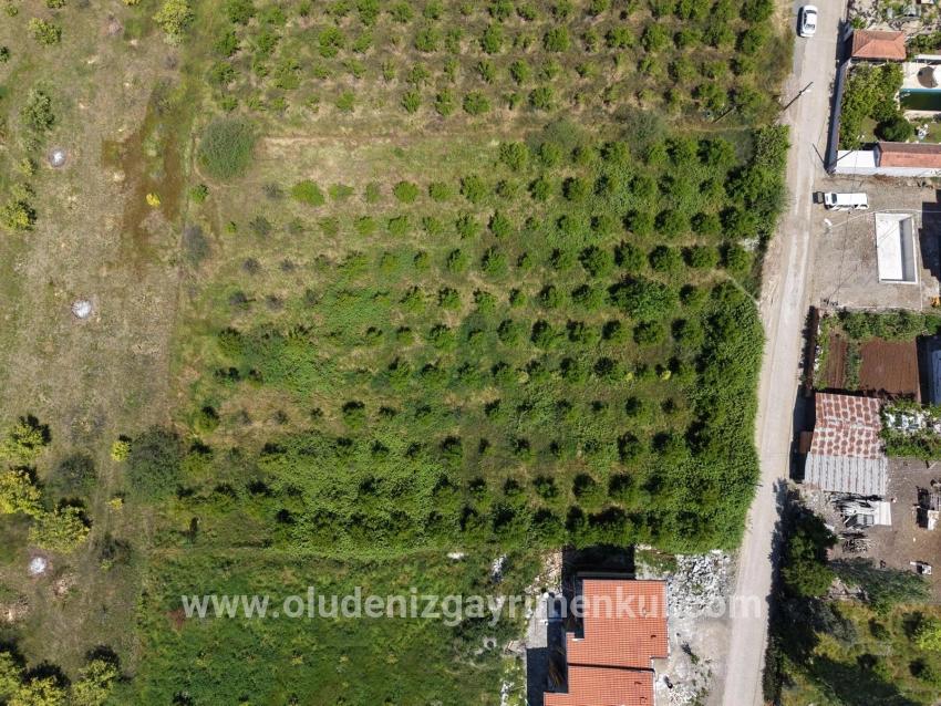 Land For Sale In Okçular, 1050m2, In The Village Residential Area.