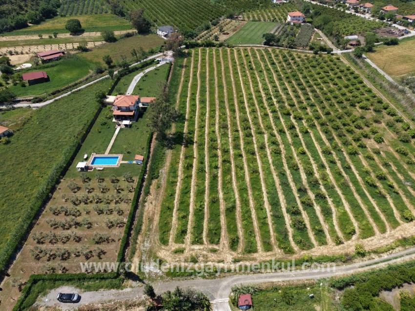Field For sale in Dalyan Nbh. Ortaca - Field Zoned - 5.100 m²