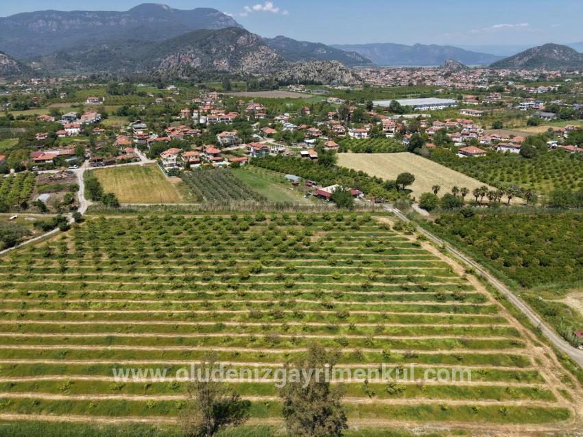 Field For sale in Dalyan Nbh. Ortaca - Field Zoned - 5.100 m²