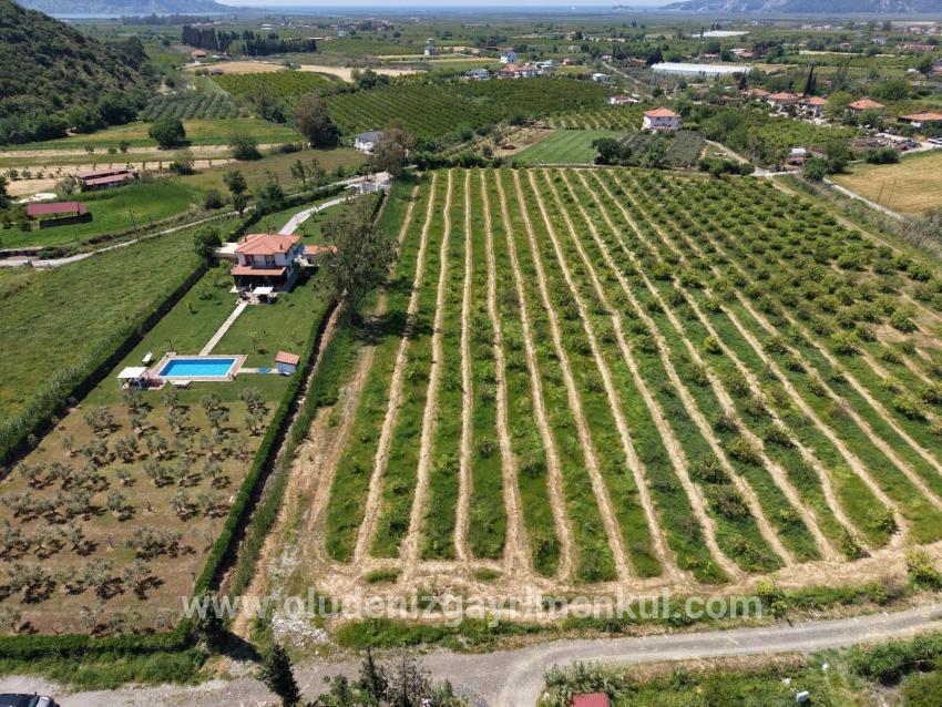 Field For sale in Dalyan Nbh. Ortaca - Field Zoned - 5.100 m²