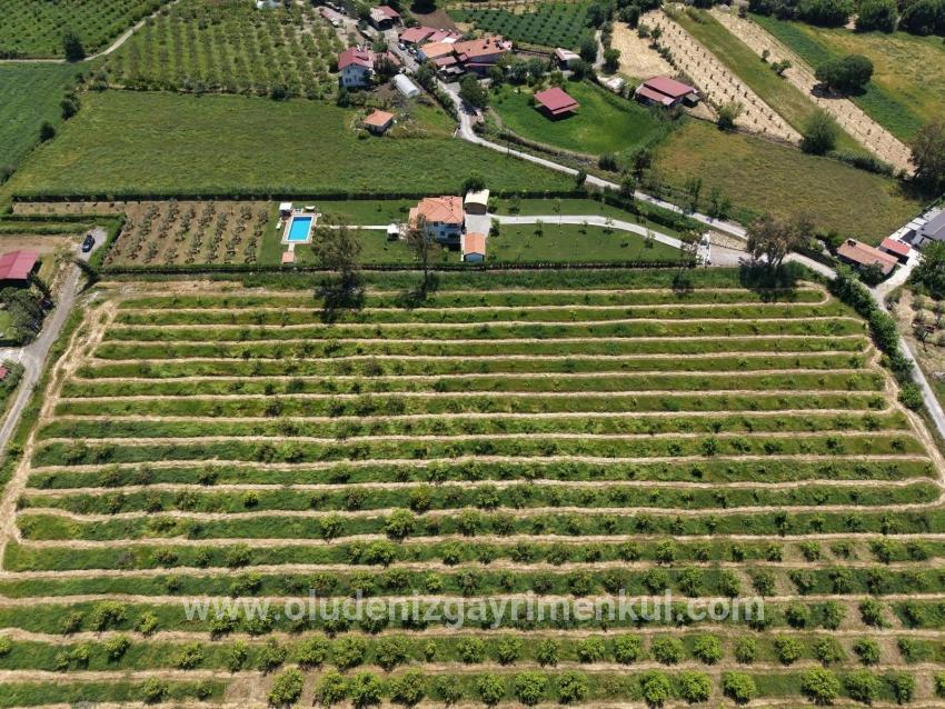 Field For sale in Dalyan Nbh. Ortaca - Field Zoned - 5.100 m²