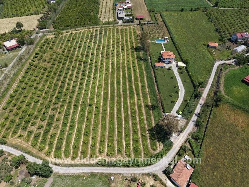 Field For sale in Dalyan Nbh. Ortaca - Field Zoned - 5.100 m²