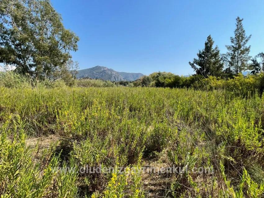 1+0 Bedroom Detached house For sale in Çandır Nbh. Köyceğiz - 2.765 m²