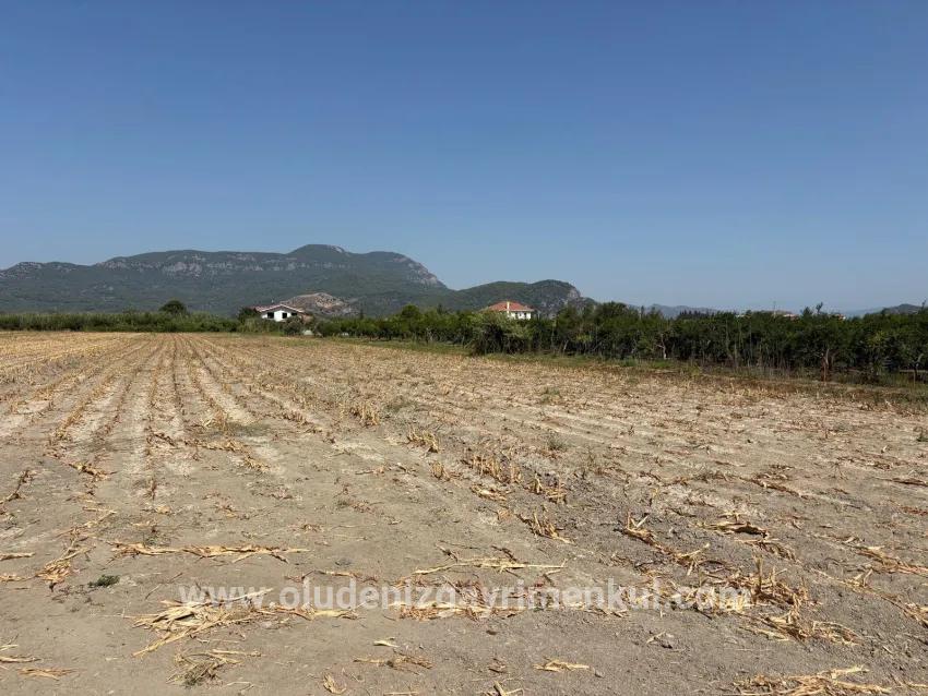 Field For sale in Dalyan Nbh. Ortaca - Field Zoned - 20.786 m²