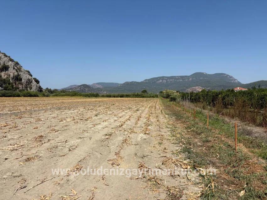 Field For sale in Dalyan Nbh. Ortaca - Field Zoned - 20.786 m²