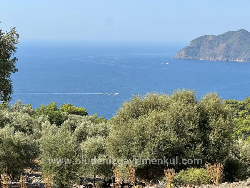 Field For sale in Çandır Nbh. Köyceğiz - Field Zoned - 21.000 m²