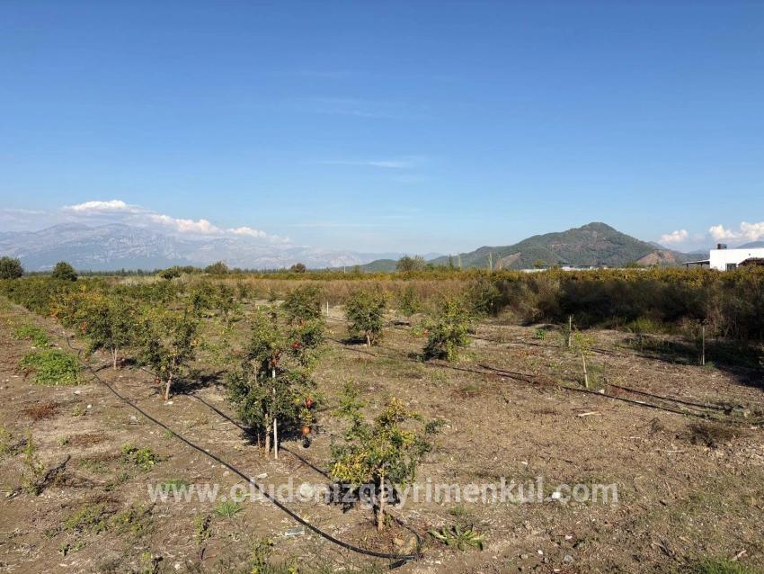 Field For sale in Eskiköy Nbh. Ortaca - Field Zoned - 21.500 m²