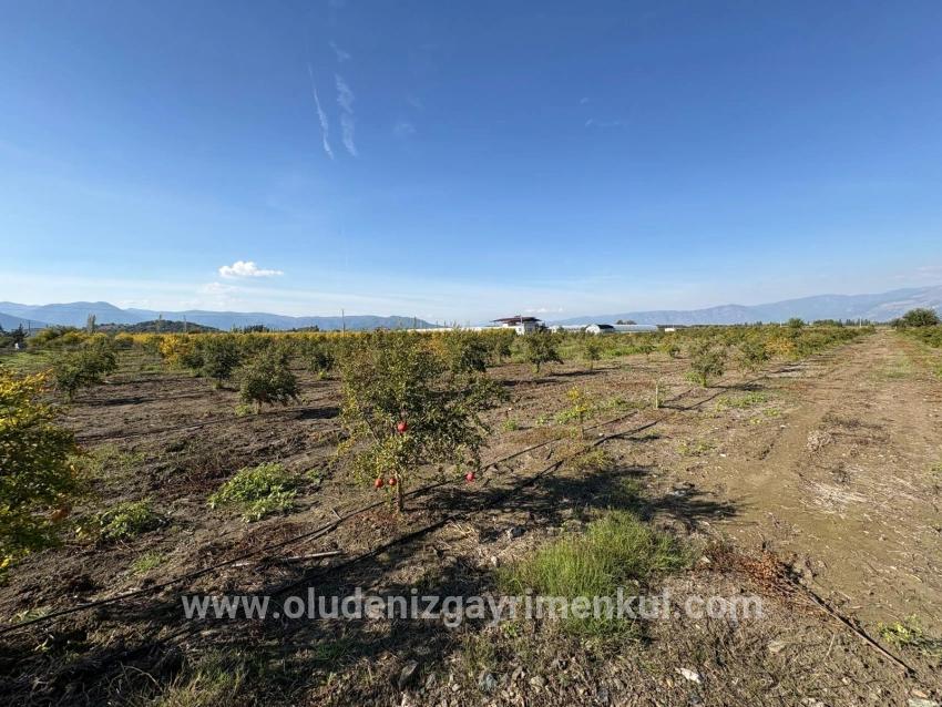 Field For sale in Eskiköy Nbh. Ortaca - Field Zoned - 21.500 m²
