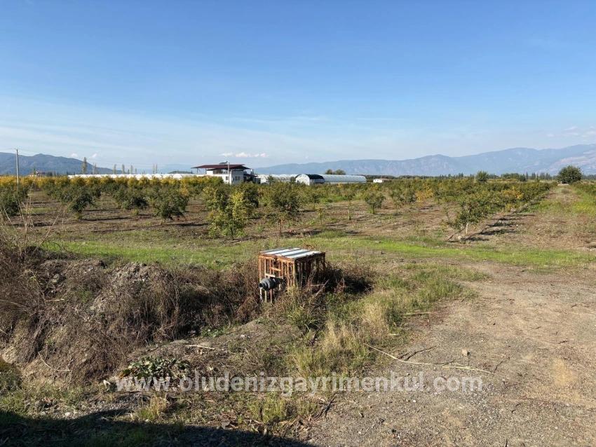 Field For sale in Eskiköy Nbh. Ortaca - Field Zoned - 21.500 m²
