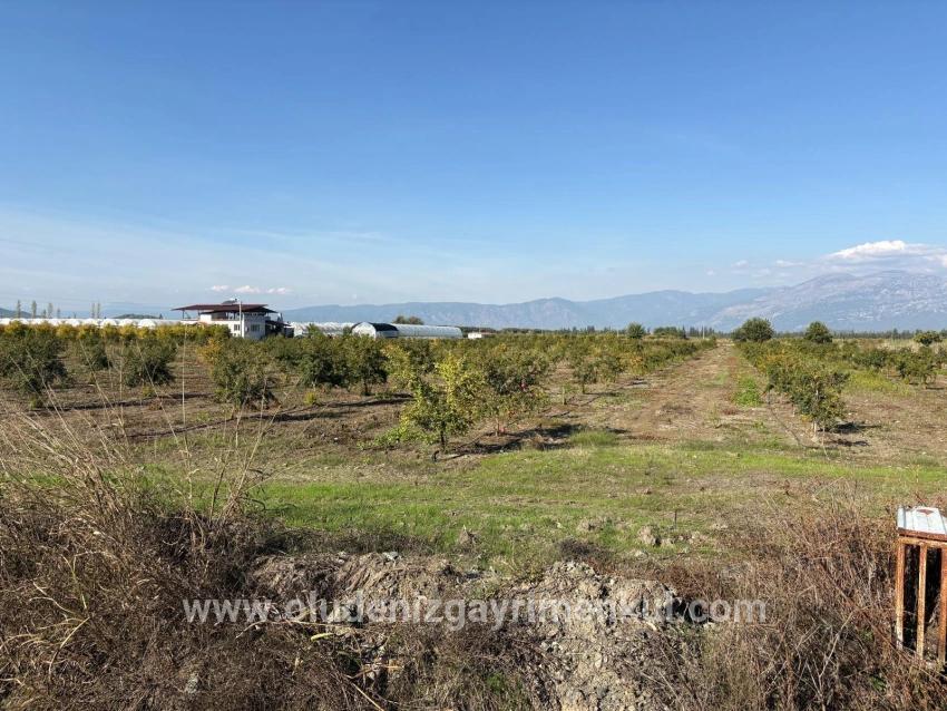 Field For sale in Eskiköy Nbh. Ortaca - Field Zoned - 21.500 m²