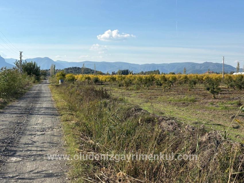 Field For sale in Eskiköy Nbh. Ortaca - Field Zoned - 21.500 m²