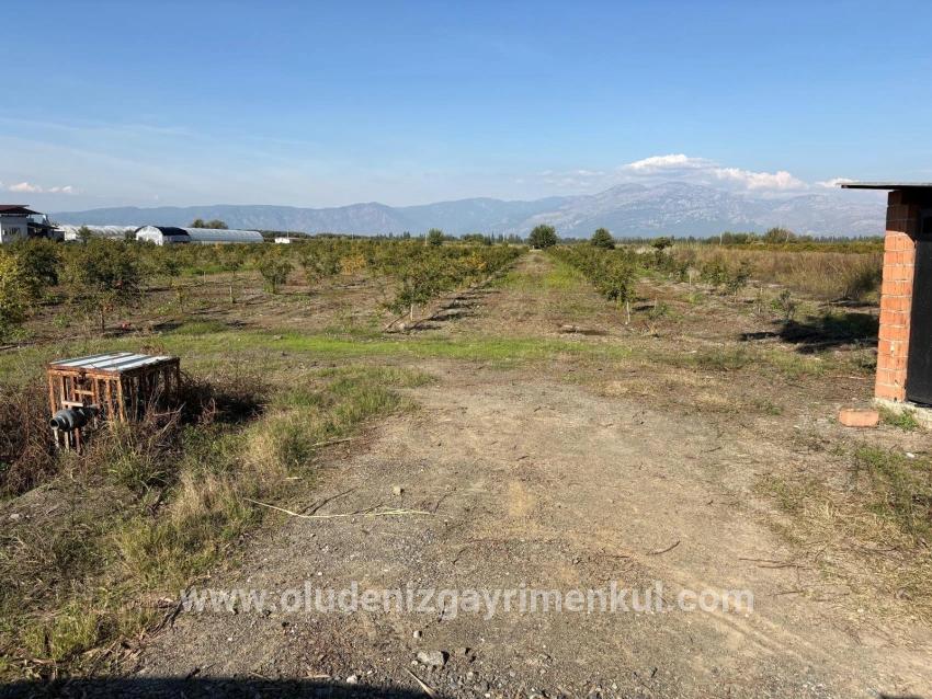 Field For sale in Eskiköy Nbh. Ortaca - Field Zoned - 21.500 m²