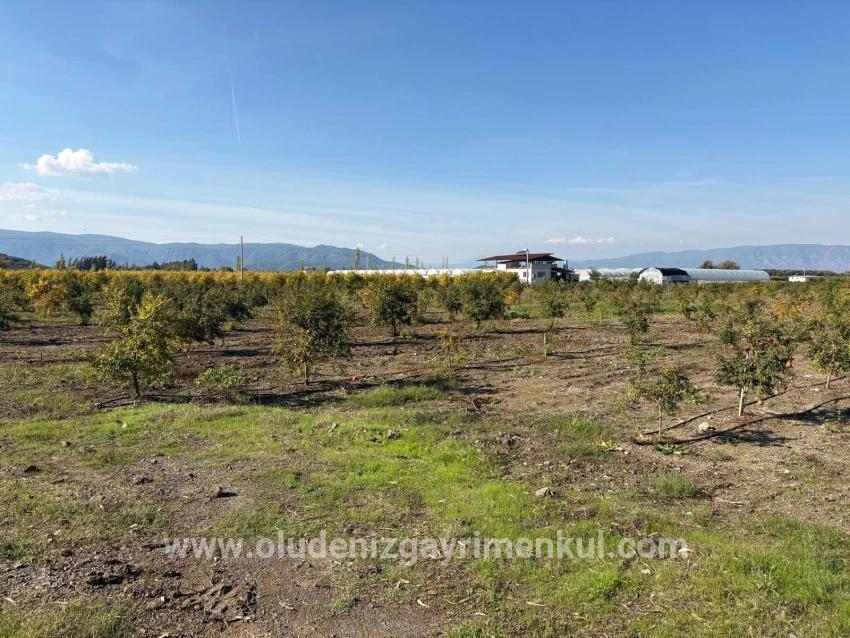 Field For sale in Eskiköy Nbh. Ortaca - Field Zoned - 21.500 m²