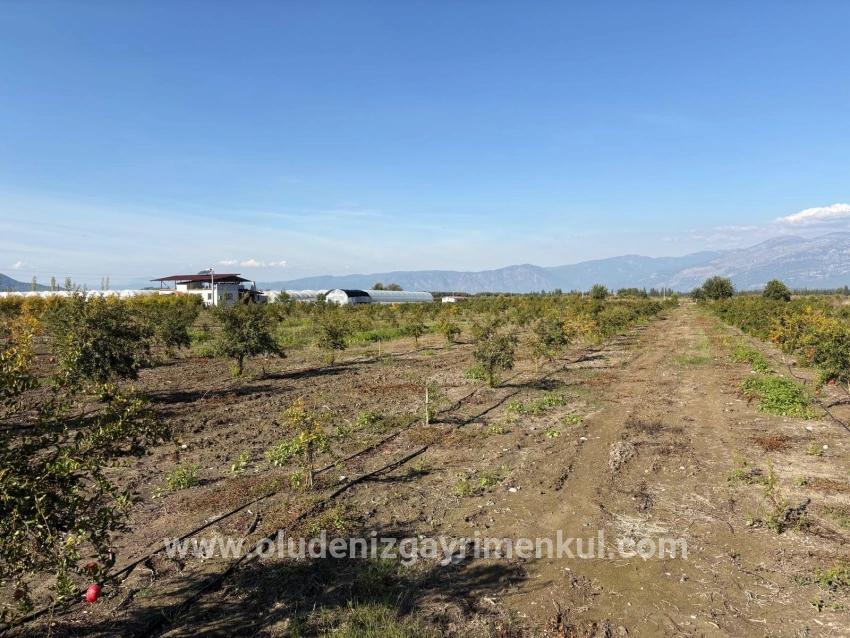 Field For sale in Eskiköy Nbh. Ortaca - Field Zoned - 21.500 m²