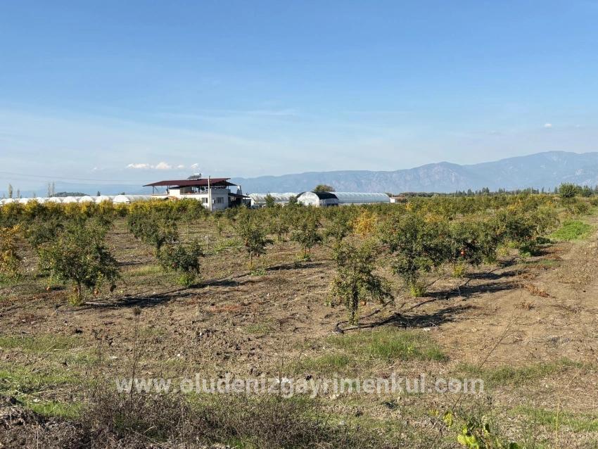 Field For sale in Eskiköy Nbh. Ortaca - Field Zoned - 21.500 m²