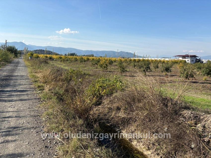 Field For sale in Eskiköy Nbh. Ortaca - Field Zoned - 21.500 m²