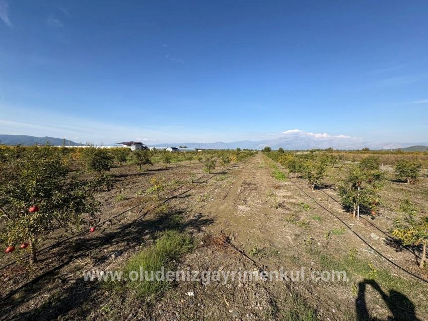 Field For sale in Eskiköy Nbh. Ortaca - Field Zoned - 21.500 m²