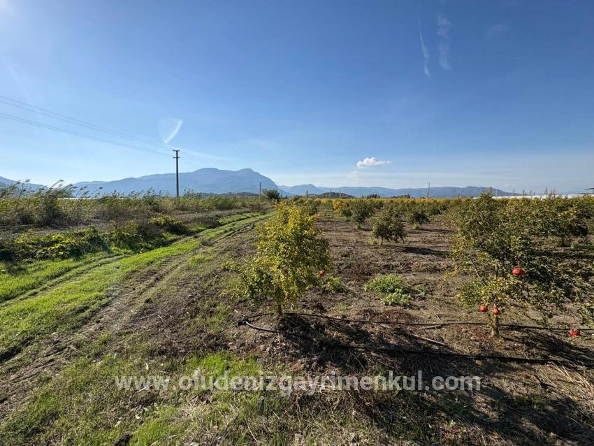 Field For sale in Eskiköy Nbh. Ortaca - Field Zoned - 21.500 m²
