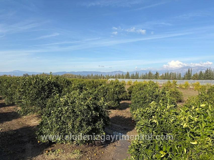 4+1 Bedroom Villa For sale in Eskiköy Nbh. Ortaca - 14.136 m²