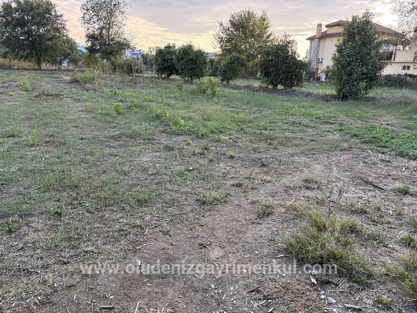 7,450 M² Plot Of Land For Sale In Dalyan With 5% Zoning.