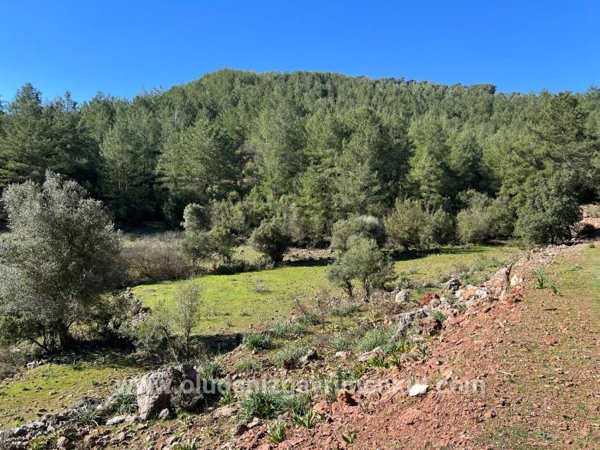 Field For sale in Gökbel Nbh. Ortaca - Field Zoned - 24.163 m²