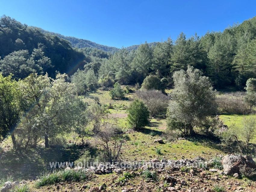 Field For sale in Gökbel Nbh. Ortaca - Field Zoned - 24.163 m²