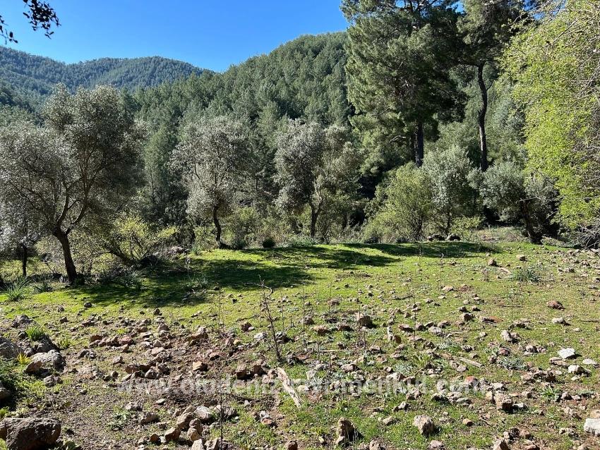 Field For sale in Gökbel Nbh. Ortaca - Field Zoned - 24.163 m²