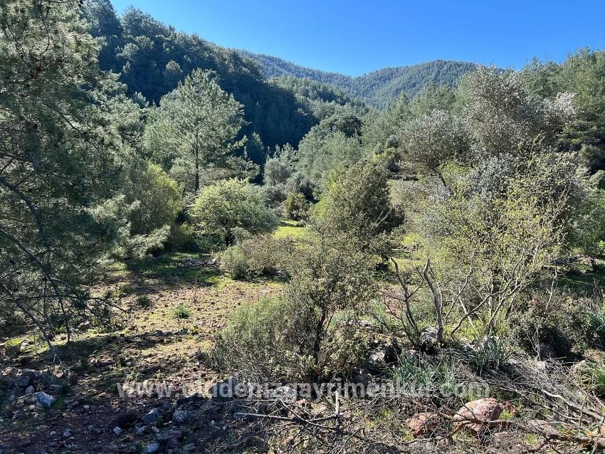 Field For sale in Gökbel Nbh. Ortaca - Field Zoned - 24.163 m²