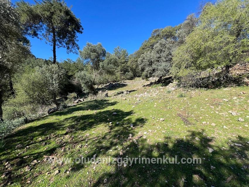 Field For sale in Gökbel Nbh. Ortaca - Field Zoned - 24.163 m²