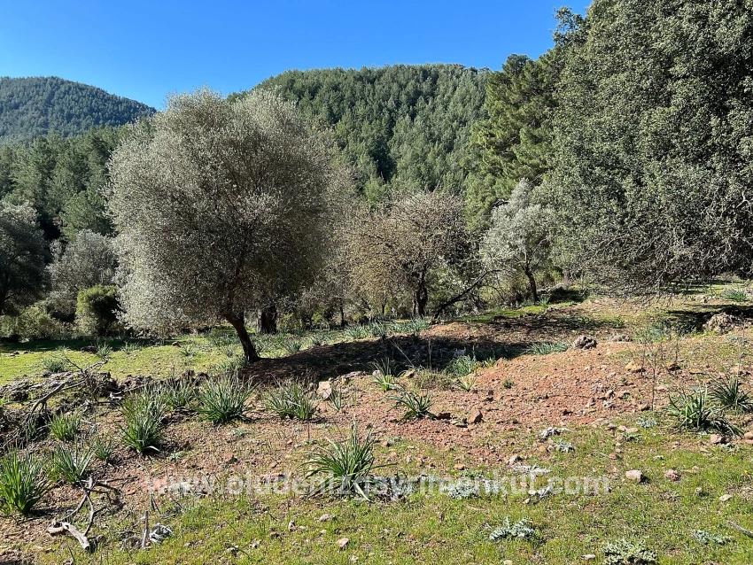 Field For sale in Gökbel Nbh. Ortaca - Field Zoned - 24.163 m²