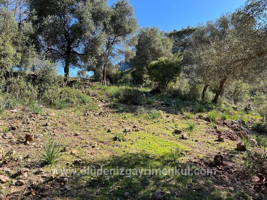 Field For sale in Gökbel Nbh. Ortaca - Field Zoned - 24.163 m²
