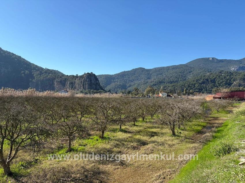 Land For sale in Dalyan Nbh. Ortaca - Housing Zoned - 5.985 m²