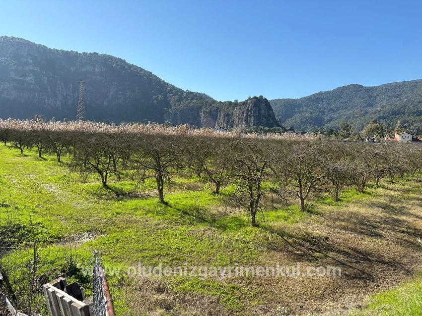 Land For sale in Dalyan Nbh. Ortaca - Housing Zoned - 5.985 m²