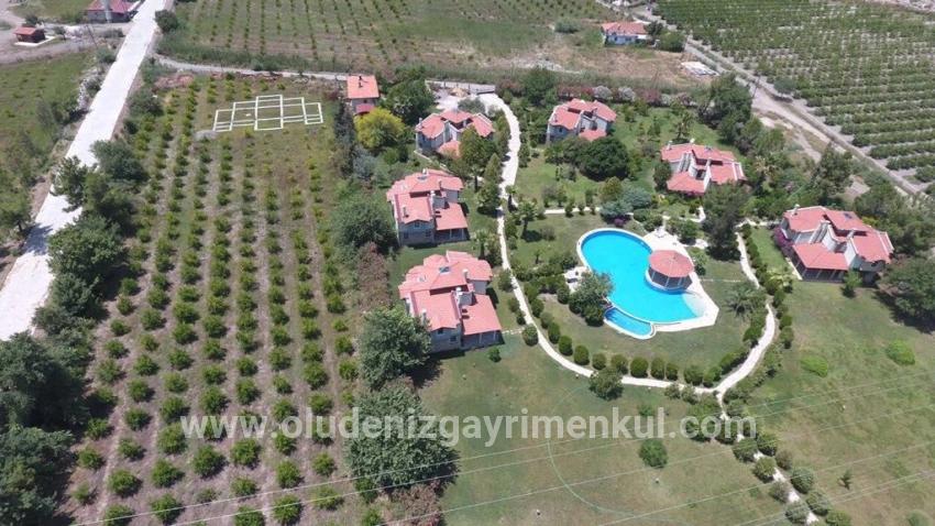 6000m2 Land For Sale In Çandır, Köyceğiz