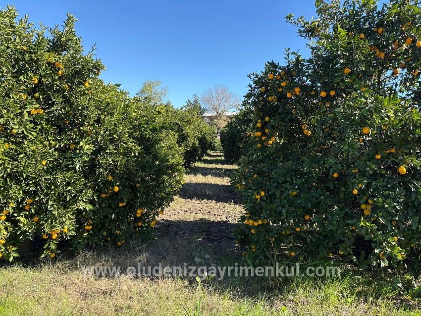 Land For sale in Ekşiliyurt Nbh. Ortaca - Housing Zoned - 1.085 m²