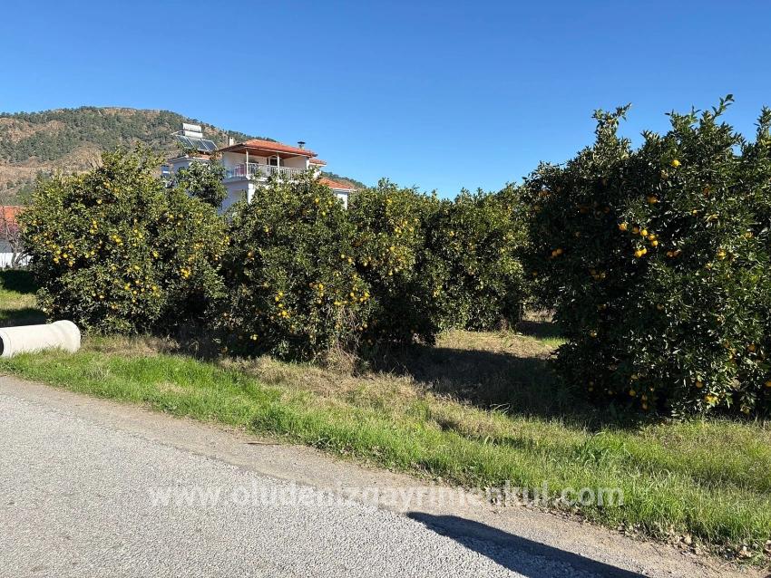 Land For sale in Ekşiliyurt Nbh. Ortaca - Housing Zoned - 1.085 m²