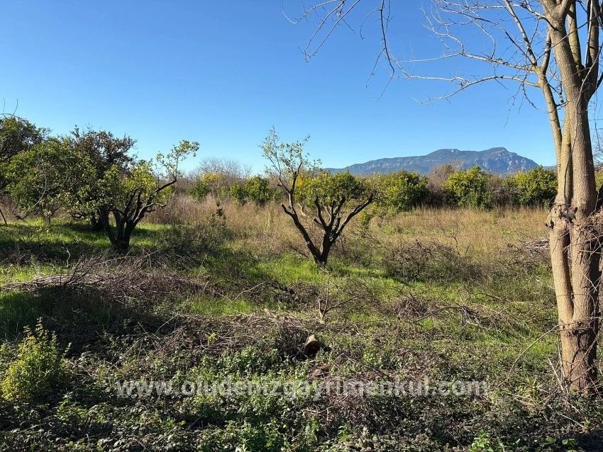 Land For sale in Ekşiliyurt Nbh. Ortaca - Housing Zoned - 1.085 m²