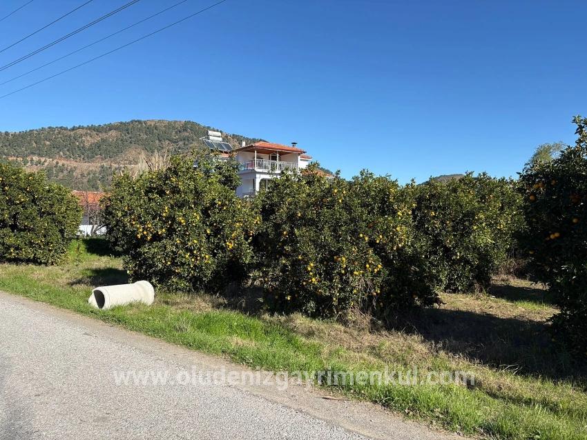 Land For sale in Ekşiliyurt Nbh. Ortaca - Housing Zoned - 1.085 m²