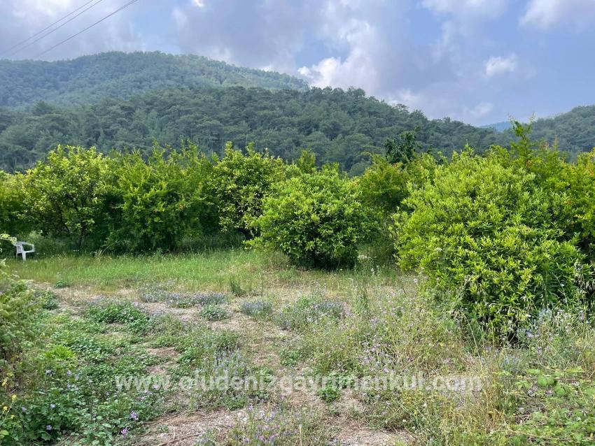 Field For sale in Gökbel Nbh. Ortaca - Housing Zoned - 7.800 m²