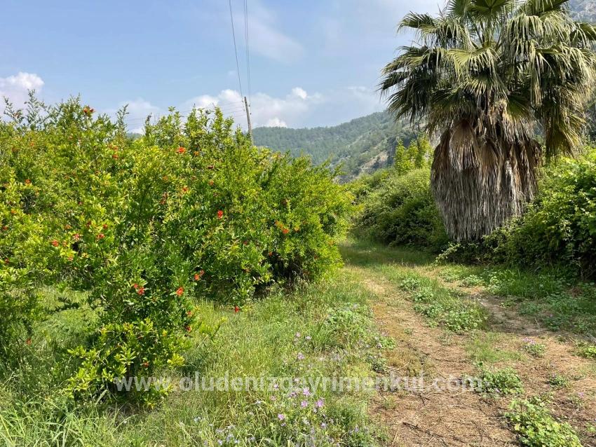 Field For sale in Gökbel Nbh. Ortaca - Housing Zoned - 7.800 m²