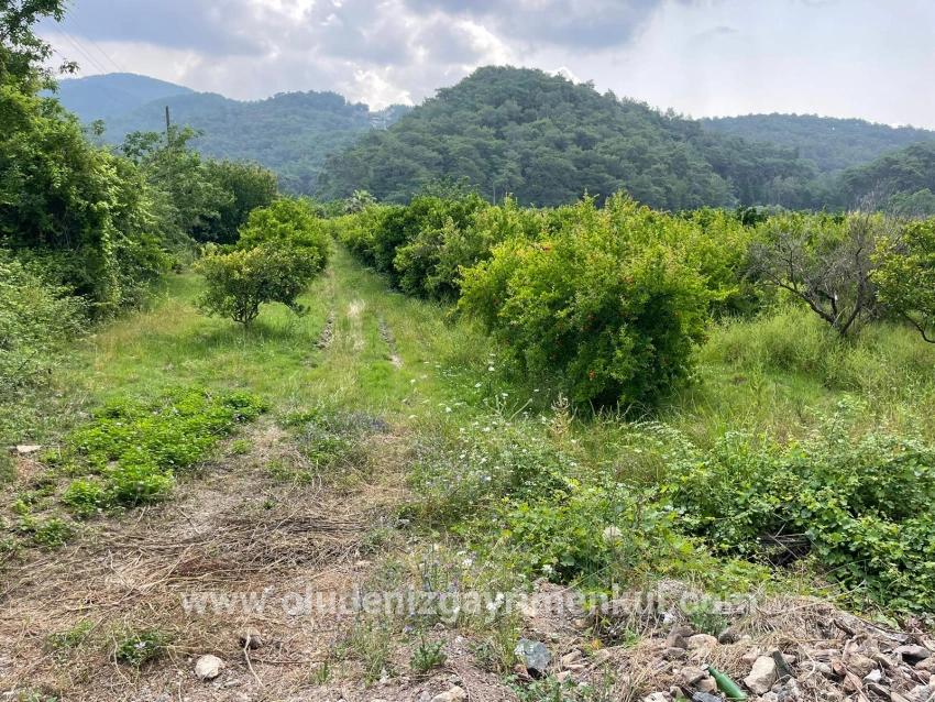 Field For sale in Gökbel Nbh. Ortaca - Housing Zoned - 7.800 m²