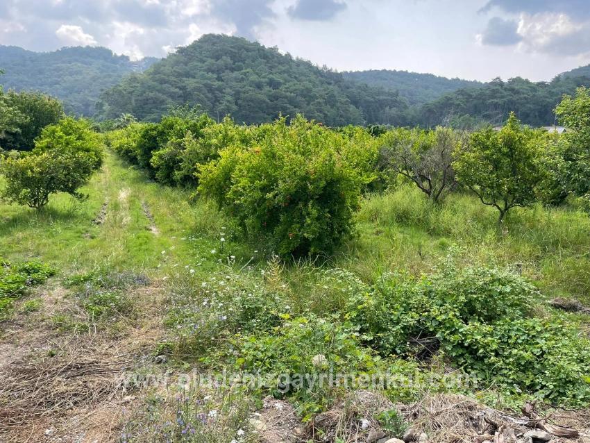 Field For sale in Gökbel Nbh. Ortaca - Housing Zoned - 7.800 m²