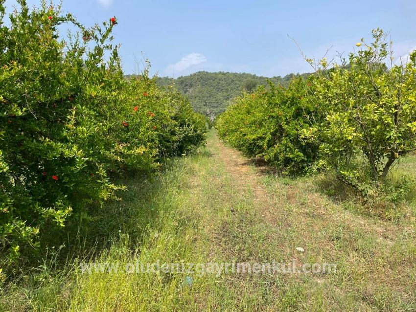 Field For sale in Gökbel Nbh. Ortaca - Housing Zoned - 7.800 m²