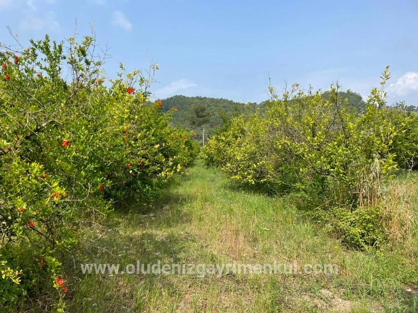 Field For sale in Gökbel Nbh. Ortaca - Housing Zoned - 7.800 m²