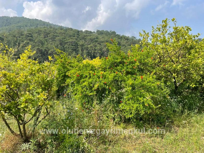 Field For sale in Gökbel Nbh. Ortaca - Housing Zoned - 7.800 m²